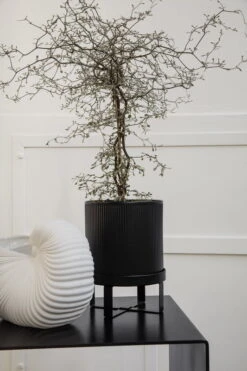 Ferm LIVING Shell Pot -FINISH DESIGN SHOP 03 9808