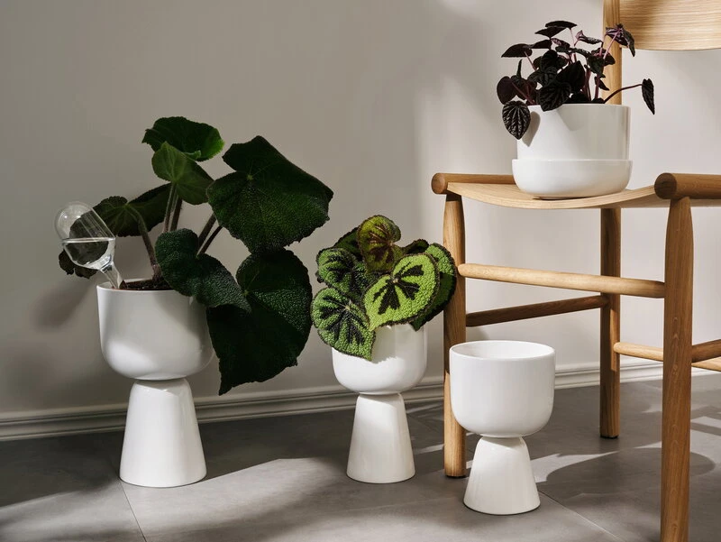 Iittala Iittala Watering Bottle, 2 Pcs 5 Iittala Iittala Watering Bottle, 2 Pcs - Image 3