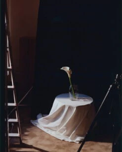 New Works Blæhr Vase, Small, Clear -FINISH DESIGN SHOP 1080x1350 New Works Blaehr Vase Carousel 3 4