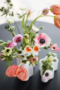 Vitra Nuage Céramique Vase, Small 11 Vitra Nuage Céramique Vase, Small -FINISH DESIGN SHOP 2576298 Nuage Vase C ramique master 1