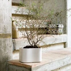 Artek Riihitie Plant Pot A, Small, White Gloss -FINISH DESIGN SHOP 398Artek iso FV 1