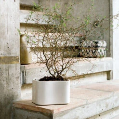 Artek Riihitie Plant Pot B, Medium, White Gloss -FINISH DESIGN SHOP 398Artek iso FV