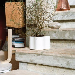 Artek Riihitie Plant Pot B, Small, White Gloss 10 Artek Riihitie Plant Pot B, Small, White Gloss -FINISH DESIGN SHOP 399Artek iso FV