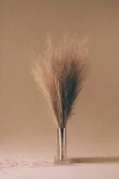 Nedre Foss Monoblokk Vase, Clear Glass -FINISH DESIGN SHOP 3CuNimXQ