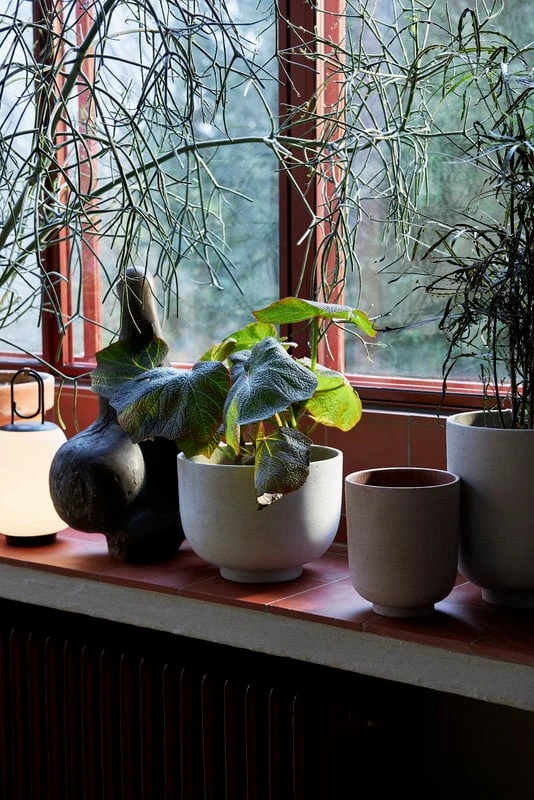 &Tradition Collect SC70 Planter, 15 X 18 Cm, Ochre 4 &Tradition Collect SC70 Planter, 15 X 18 Cm, Ochre - Image 2