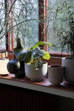 &Tradition Collect SC71 Planter, 24 X 18 Cm, Silver 13 &Tradition Collect SC71 Planter, 24 X 18 Cm, Silver -FINISH DESIGN SHOP ATD Retail 2021 Collect Planter SC70 72 Lucca SC51