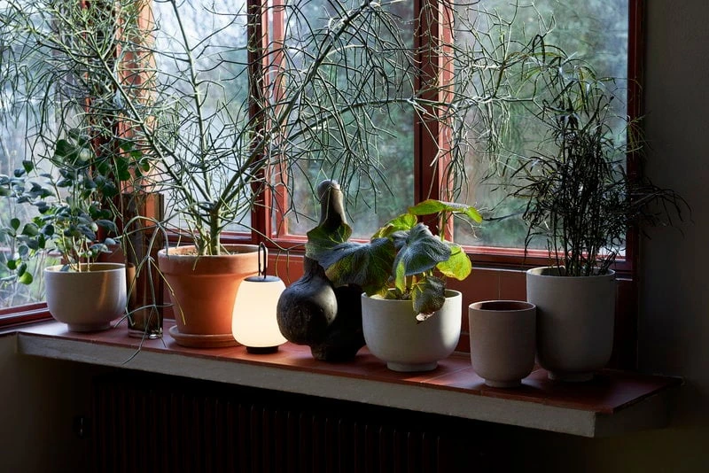 &Tradition Collect SC70 Planter, 15 X 18 Cm, Ochre 5 &Tradition Collect SC70 Planter, 15 X 18 Cm, Ochre - Image 3