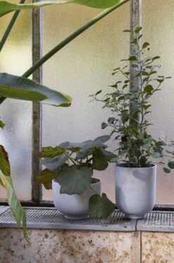 &Tradition Collect SC72 Planter, 20 X 24 Cm, Slate -FINISH DESIGN SHOP ATD Retail 2021 Planter SC71 amp SC72