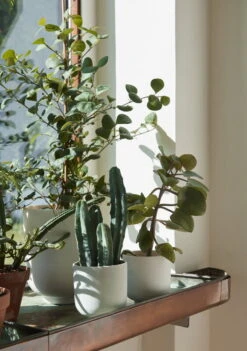 &Tradition Collect SC71 Planter Pot, 24 X 18 Cm, Milk -FINISH DESIGN SHOP ATD Retail 2022 Collect Planter SC69 SC72