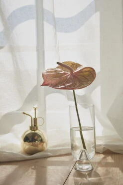 AYTM Globe Flower Mister, Gold -FINISH DESIGN SHOP AYTM D2 08 269