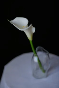 New Works Blæhr Vase, Small, Clear -FINISH DESIGN SHOP Blaehr Vase Digital Images Shot by Armin Tehrani 03