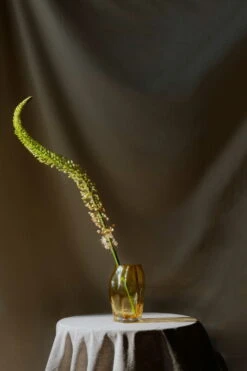 New Works Blæhr Vase, Small, Amber 13 New Works Blæhr Vase, Small, Amber -FINISH DESIGN SHOP Blaehr Vase Digital Images Shot by Armin Tehrani 21