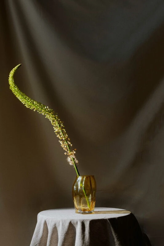 New Works Blæhr Vase, Small, Amber 8 New Works Blæhr Vase, Small, Amber - Image 6