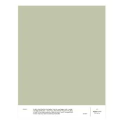 Cover Story Cover Story Paint Sample, 027 HERMANN - Pale Green