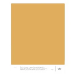 Cover Story Paint Sample, 032 KAREN - Mustard