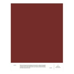 Cover Story Interior Paint, 3,6 L,025 OSCAR - Deep Burgundy -FINISH DESIGN SHOP CS CoverStory sample Oscar EE 1