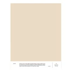 Cover Story Paint Sample, LB6 SIMONE - Soft Sand