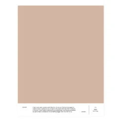 Cover Story Paint Sample, 021 SIRI - Rose Beige