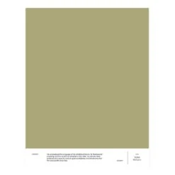 Cover Story Cover Story Paint Sample, 028 TONI - Mud Green