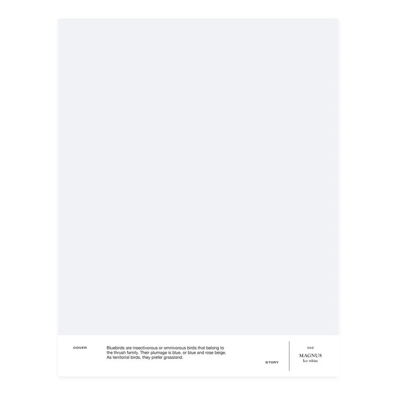 Cover Story Cover Story Paint Sample, 003 MAGNUS - Ice White 3 Cover Story Cover Story Paint Sample, 003 MAGNUS - Ice White