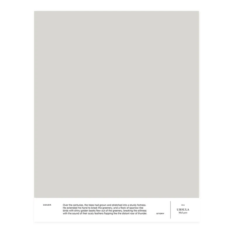 Cover Story Interior Paint, 9 L, 011 URSULA - Mid Grey 4 Cover Story Interior Paint, 9 L, 011 URSULA - Mid Grey - Image 2