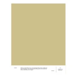 Cover Story Cover Story Paint Sample, 030 VIRGINIA - Straw Green