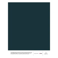 Cover Story Cover Story X Iittala Paint Sample, I04 OLAVI