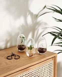 Design House Stockholm Grow Mini Greenhouse, S -FINISH DESIGN SHOP DHS lifestyleimage 13