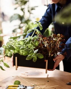 Design House Stockholm Botanic Planter Box -FINISH DESIGN SHOP DHS lifestyleimage 5