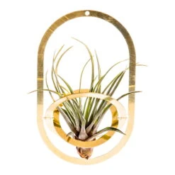 Fundamental Berlin Air Pendant Plant Holder, Brass