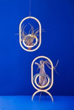 Fundamental Berlin Air Trophy Plant Holder, Brass -FINISH DESIGN SHOP FUAIR TRO blue 1