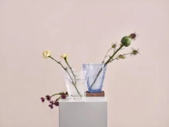 Iittala Kastehelmi Vase 154 Mm, Clear -FINISH DESIGN SHOP Iiittala 2018 Kastehelmi vase group