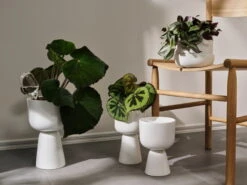 Iittala Iittala Watering Bottle, 2 Pcs 9 Iittala Iittala Watering Bottle, 2 Pcs -FINISH DESIGN SHOP Iittala 2021 Nappula 05