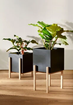 Design House Stockholm Botanic Pedestal Pot -FINISH DESIGN SHOP Image2 2705 1081 BotanicPedestalPot Function