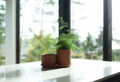 Elementa Pot, Medium, Terracotta -FINISH DESIGN SHOP KLset1 1800