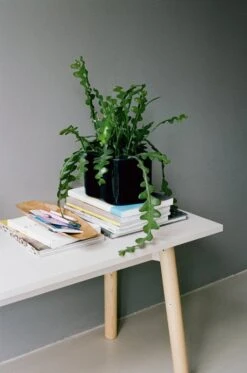 Artek Riihitie Plant Pot B, Small, Blue Gloss -FINISH DESIGN SHOP Kiila Bench clear lacquer stone white top 2