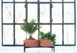 Elementa Pot, Low, Terracotta 8 Elementa Pot, Low, Terracotta -FINISH DESIGN SHOP KlorofyllbyAndersenVoll doublelowbaseterracotta