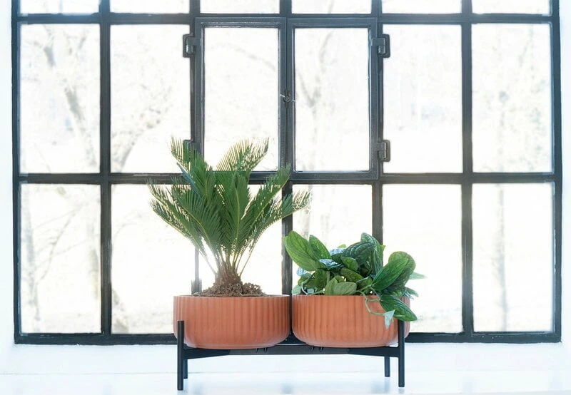 Elementa Pot, Low, Terracotta 5 Elementa Pot, Low, Terracotta - Image 3