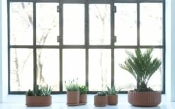 Elementa Klorofyll Pot Set, Terracotta -FINISH DESIGN SHOP KlorofyllterracottabyAnderssenVoll 1