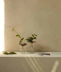 MENU Cresco Propagation Vase, 2 Pcs -FINISH DESIGN SHOP MENU Cresco Propagation Set 2