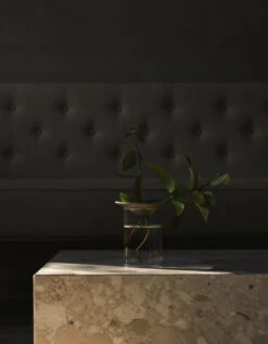 MENU Cresco Propagation Vase, 2 Pcs -FINISH DESIGN SHOP MENU Cresco Propagation Set Plinth Low