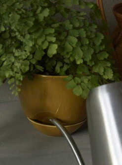 MENU Hydrous Planter, 12 Cm, Ochre -FINISH DESIGN SHOP MENU Hydrous Planter Hydrous Watering Can 5