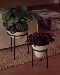 MENU Daiza Planter, 35 X 25 Cm, Ivory -FINISH DESIGN SHOP MENU LS Daiza Planters