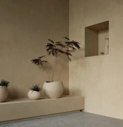 MENU Plantas Planter, 17 Cm, Ivory -FINISH DESIGN SHOP MENU Plantas Planter 2 2023