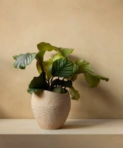 MENU Plantas Planter, 24 Cm, Ivory -FINISH DESIGN SHOP MENU Plantas Planter 7 2023