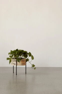 MENU Umanoff Planter, 27 Cm, Black - Rattan 9 MENU Umanoff Planter, 27 Cm, Black - Rattan -FINISH DESIGN SHOP MENU Planters 5