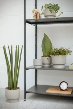 Rosendahl Flowerpot, 12 Cm, Sand -FINISH DESIGN SHOP ROS 206 20632 RO Flowerpots in livinroom 01 300dpi 2