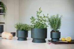 Rosendahl Flowerpot, 15 Cm, Green -FINISH DESIGN SHOP ROS 20620 20622 RO Flowerpots in kitchen setting 01 300dpi 1