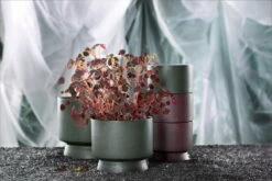 Rosendahl Flowerpot, 19 Cm, Green -FINISH DESIGN SHOP ROS 20640 20621 20622 Flowerpots five one w plant