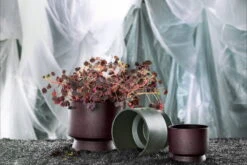 Rosendahl Flowerpot, 15 Cm, Green -FINISH DESIGN SHOP ROS 20640 20621 20622 Flowerpots three with plant 01